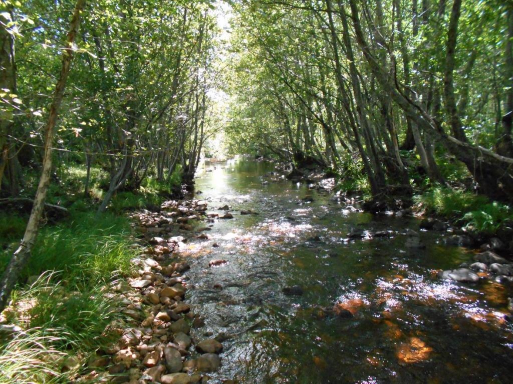 La CHD organiza una Jornada didáctica en torno al río Negro (Zamora) en el Día de las Reservas Naturales Fluviales