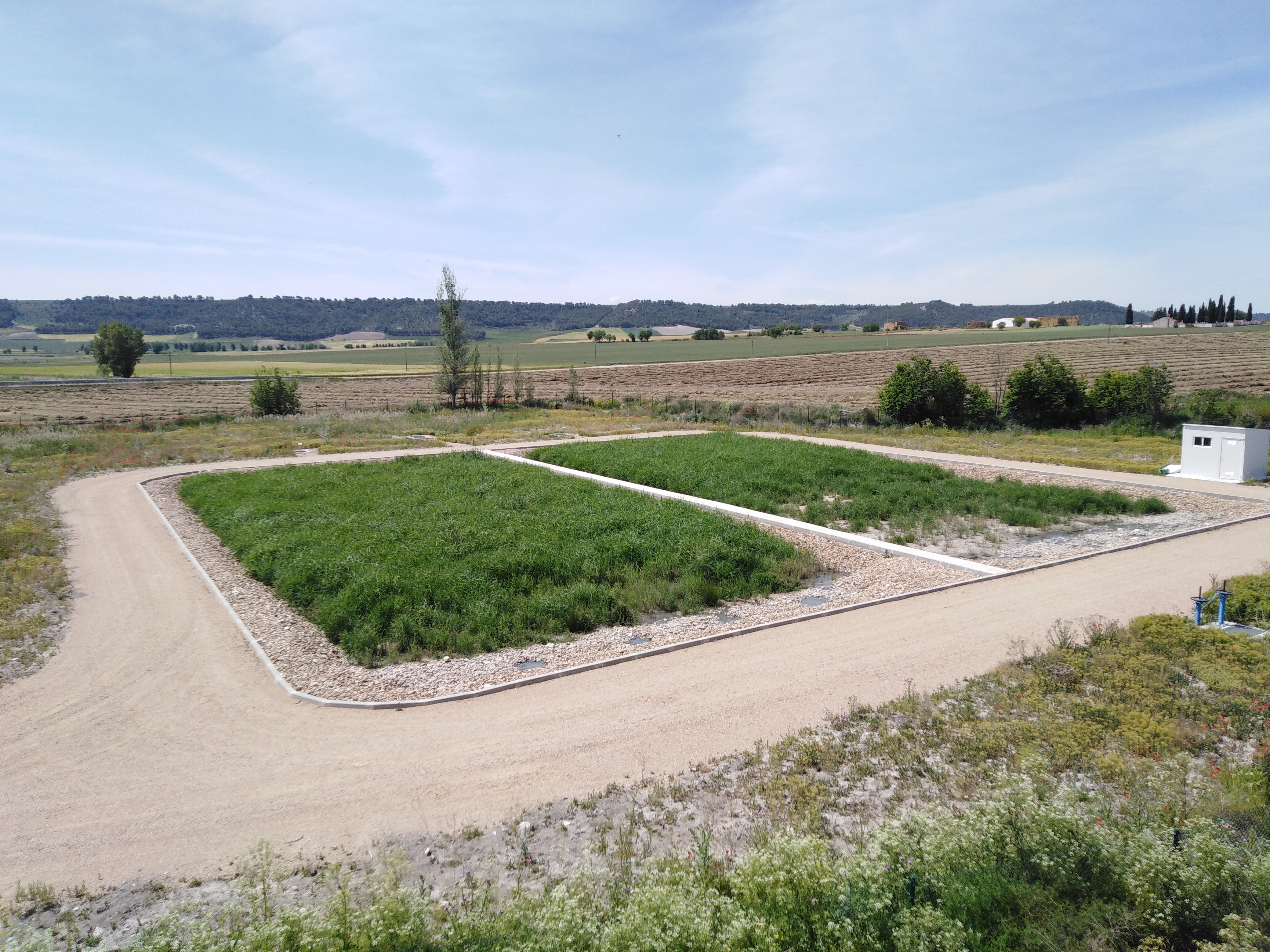 La CHD construye una depuradora natural en Esguevillas de Esgueva formada por dos humedales artificiales como alternativa sostenible La CHD construye una depuradora natural en Esguevillas de Esgueva formada por dos humedales artificiales como alternativa sostenible