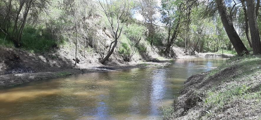 La CHD realiza labores de conservación y mantenimiento en el río Adaja (Ávila) con una inversión de 30.000 euros