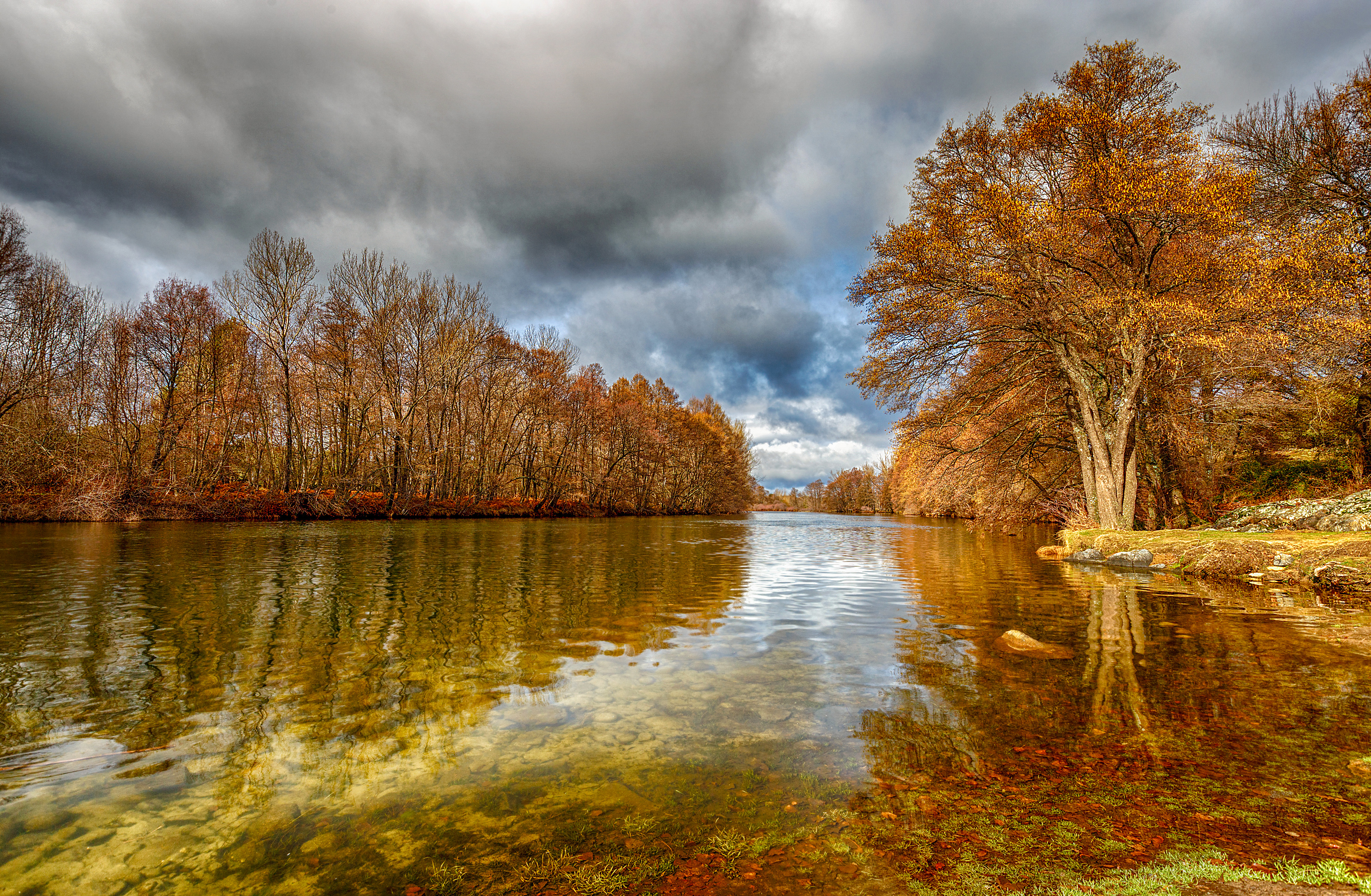 Reflejos de otoño