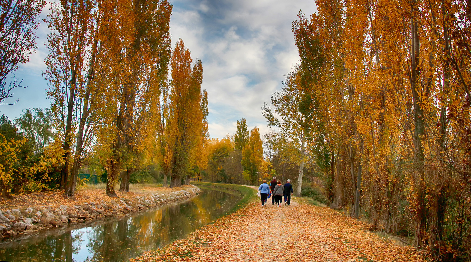 Otoño en la cuenca