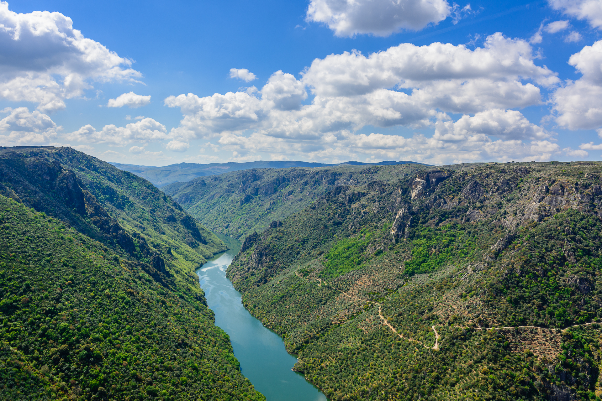 Arribes del Duero