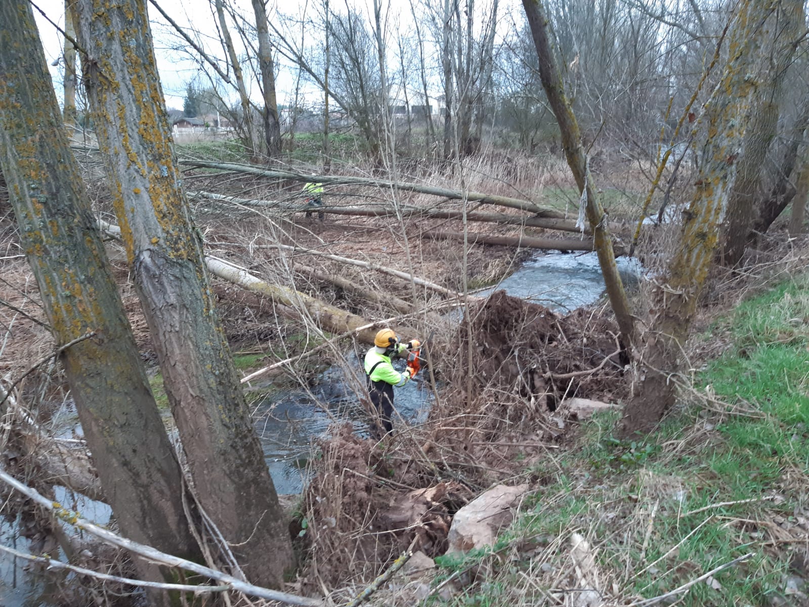 La CHD inicia en el río Ciruelos (Burgos) las labores para recuperar las condiciones hidrológicas de los cauces afectados por las avenidas de diciembre