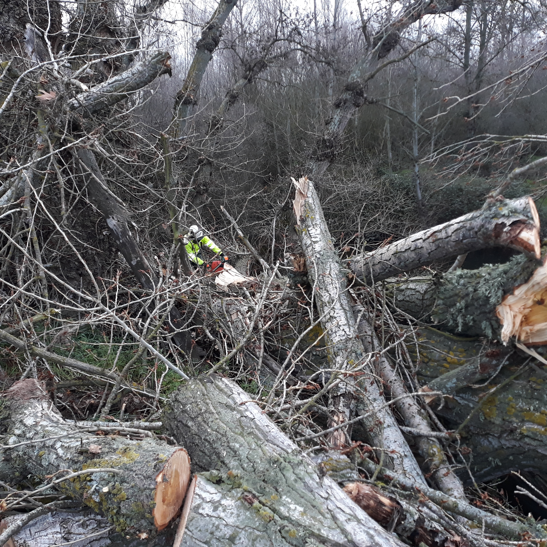 La CHD declara de emergencia las obras para la restauración de los cauces y las infraestructuras afectadas por las avenidas de diciembre por un importe próximo a los 11M€