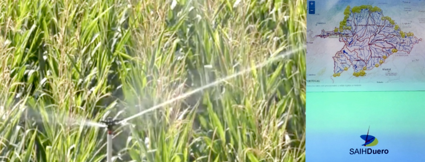 La CHD regula el control de caudales de agua mediante sistemas de telemedida para los aprovechamientos de los grandes usuarios La CHD regula el control de caudales de agua mediante sistemas de telemedida para los aprovechamientos de los grandes usuarios