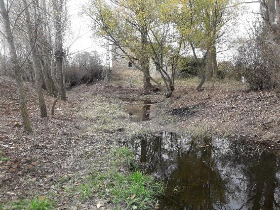 La CHD realiza trabajos de adecuación del Arroyo de Berrocalejo (Ávila) para facilitar la circulación del agua