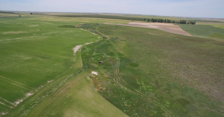El Proyecto LIFE-Integrado apuesta por la protección y recuperación de los humedales El Proyecto LIFE-Integrado apuesta por la protección y recuperación de los humedales