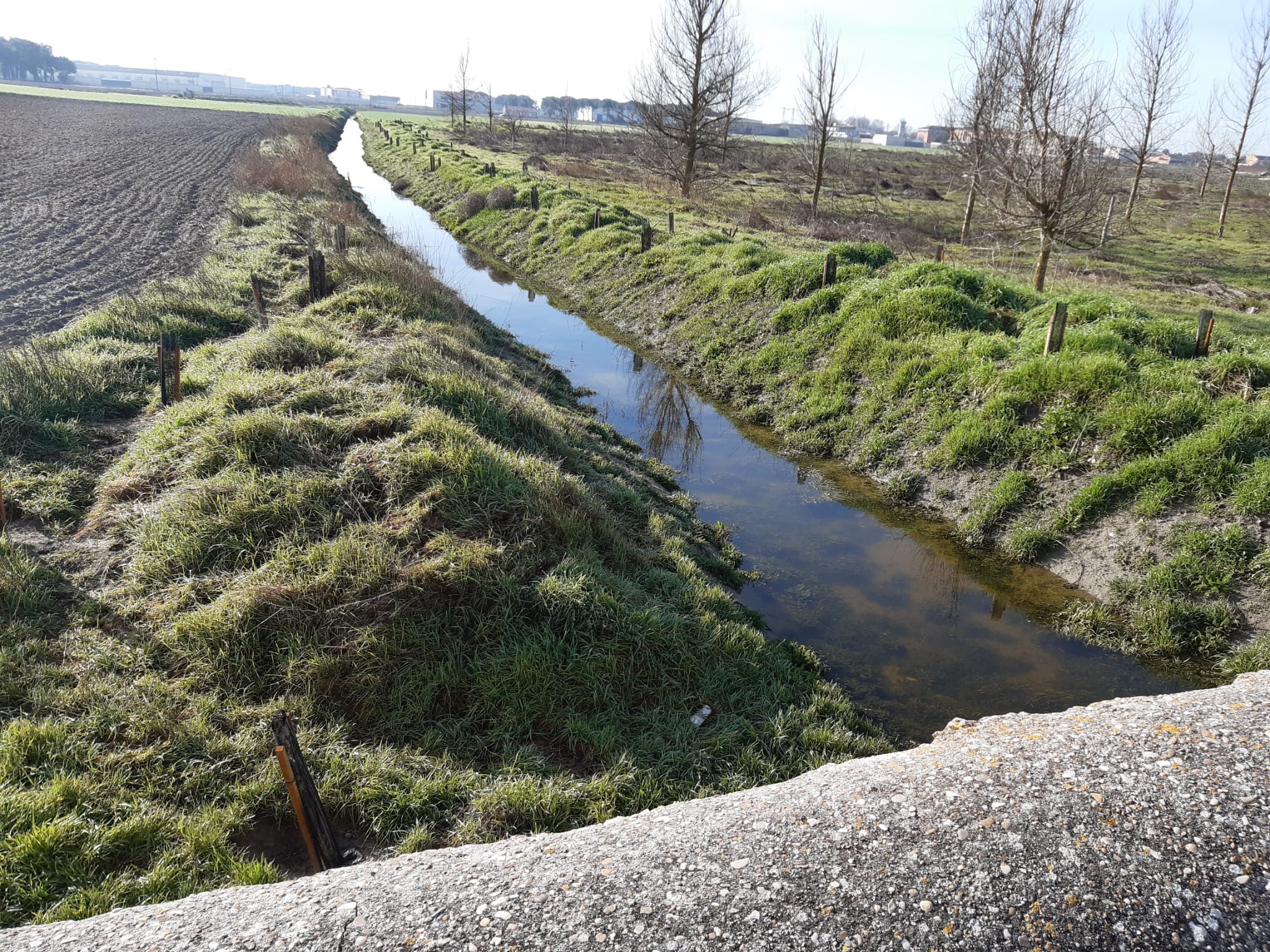 La CHD realiza labores de conservación en el río Pirón (Íscar) por importe de 200.000 euros