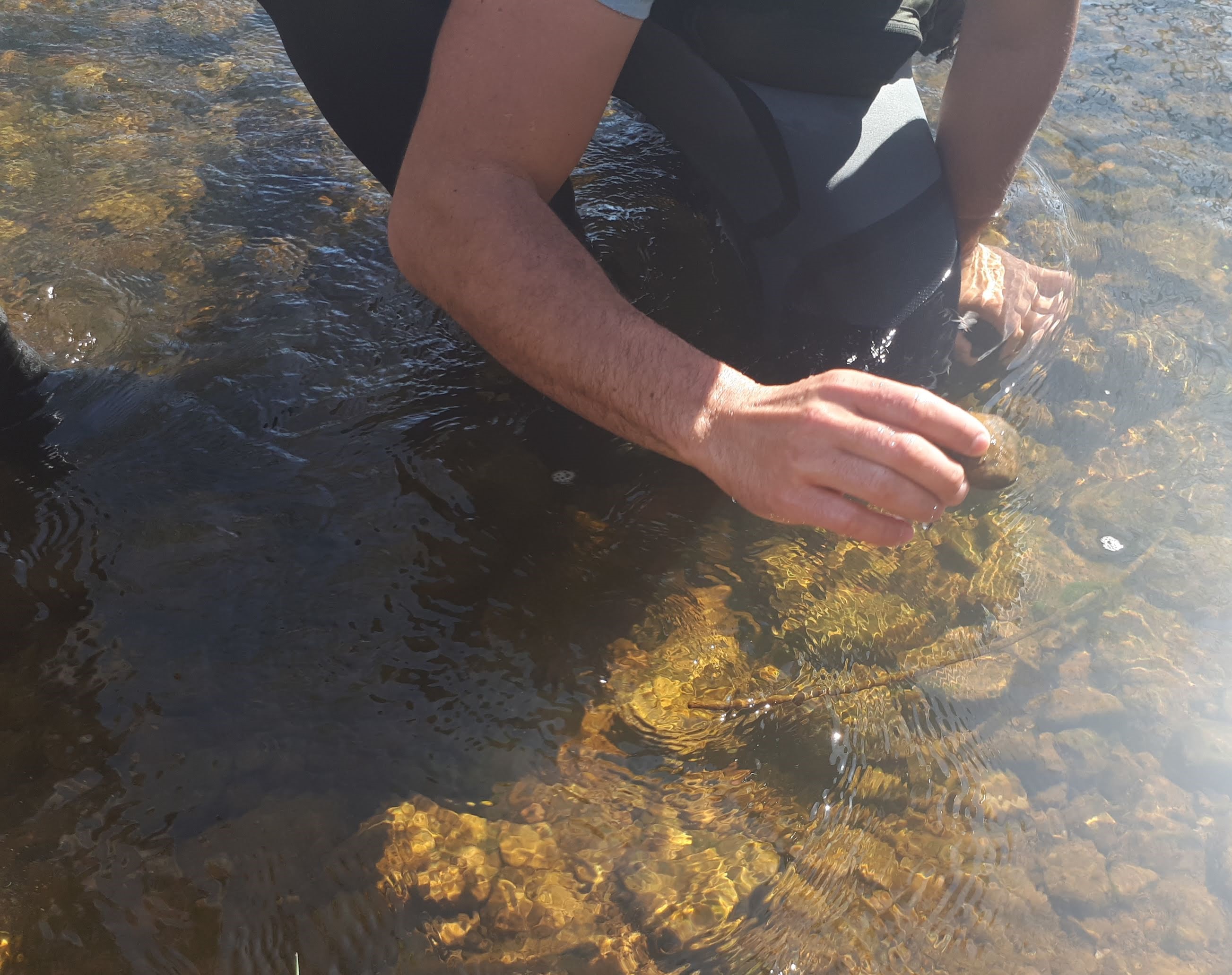 La CHD inicia los muestreos biológicos en 430 puntos de ríos de la cuenca La CHD inicia los muestreos biológicos en 430 puntos de ríos de la cuenca