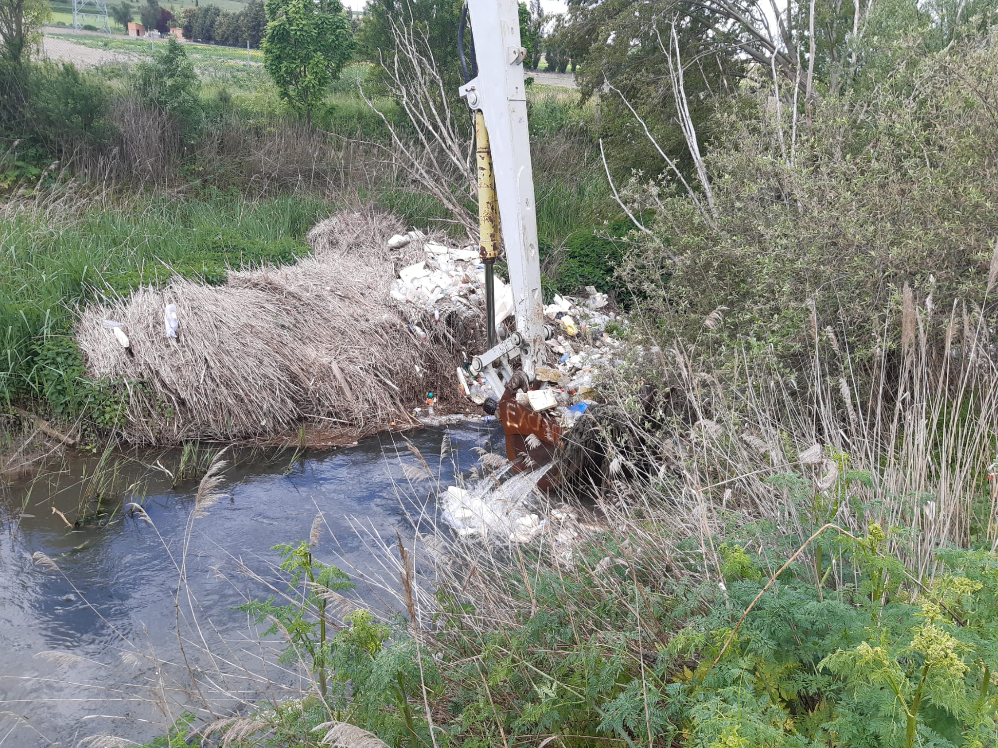 La CHD retira 17 toneladas de residuos del río Esgueva en el municipio de Valladolid