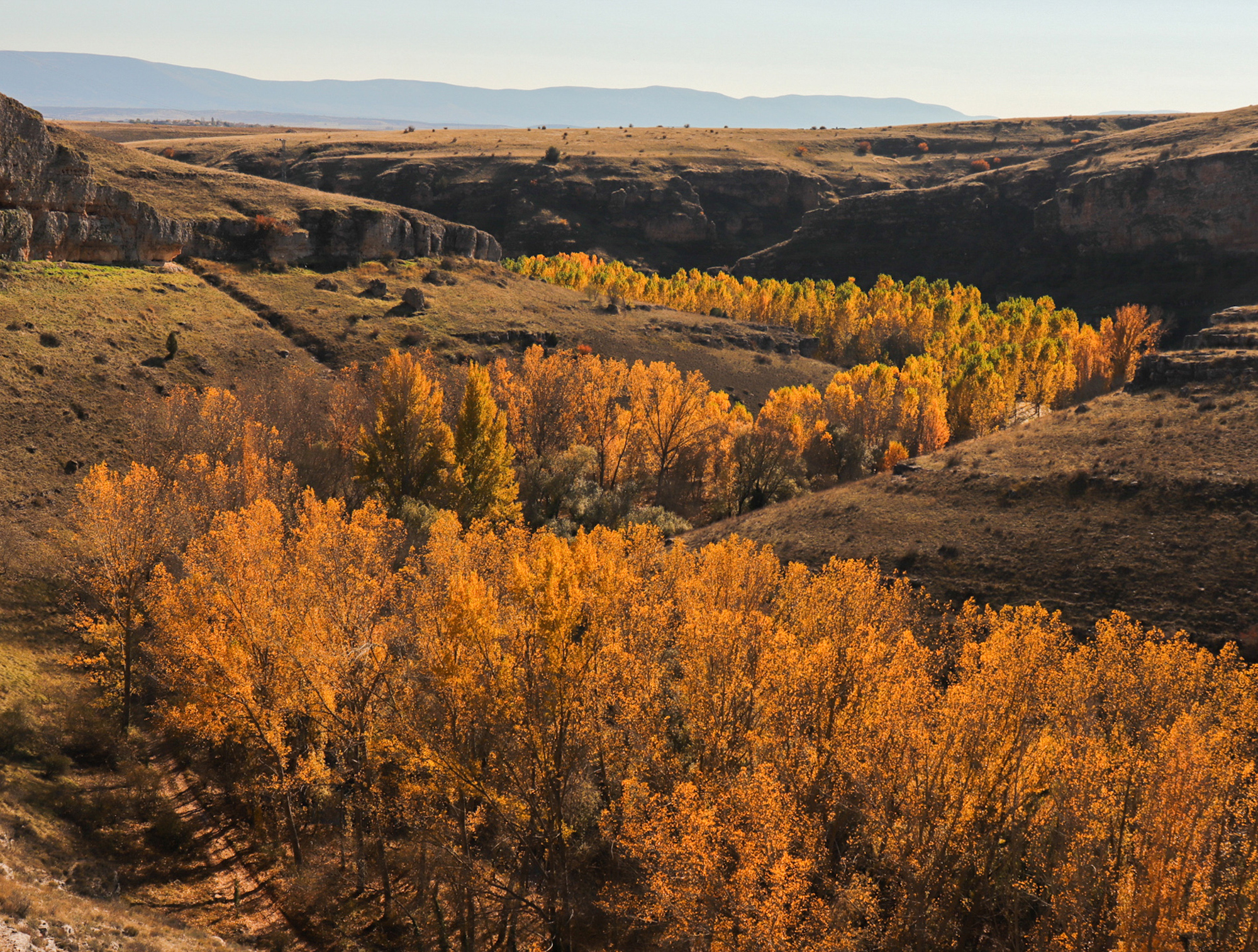 Una imagen de las Hoces del Duratón (Segovia), ganadora del III Concurso de Fotografía de la CHD