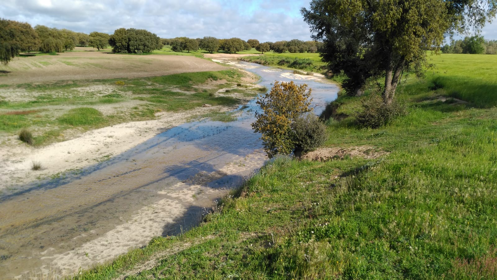 La CHD adjudica las obras de restauración fluvial del río Trabancos por 1,3M€