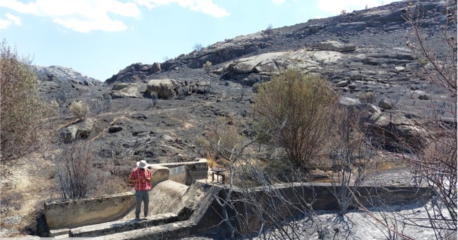 La CHD inicia actuaciones para asegurar las tomas de abastecimiento de agua afectadas por el incendio de La Paramera (Ávila)