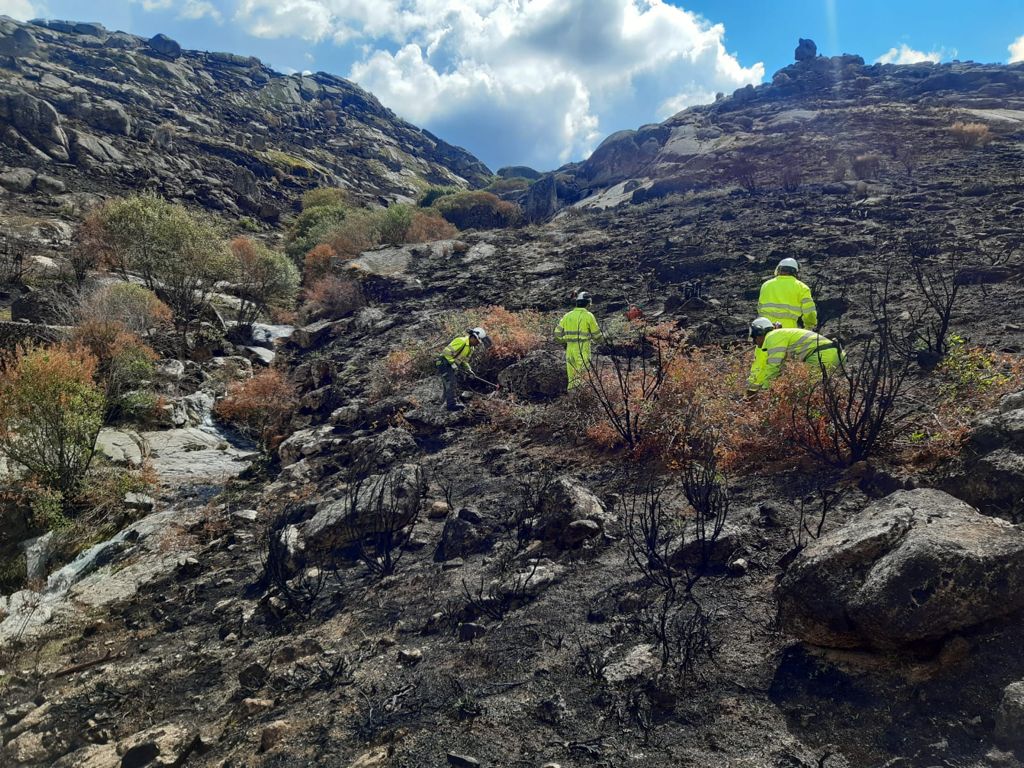 La CHD continúa las labores de restauración de cauces para retener los aportes de cenizas y sedimentos procedentes del incendio de La Paramera