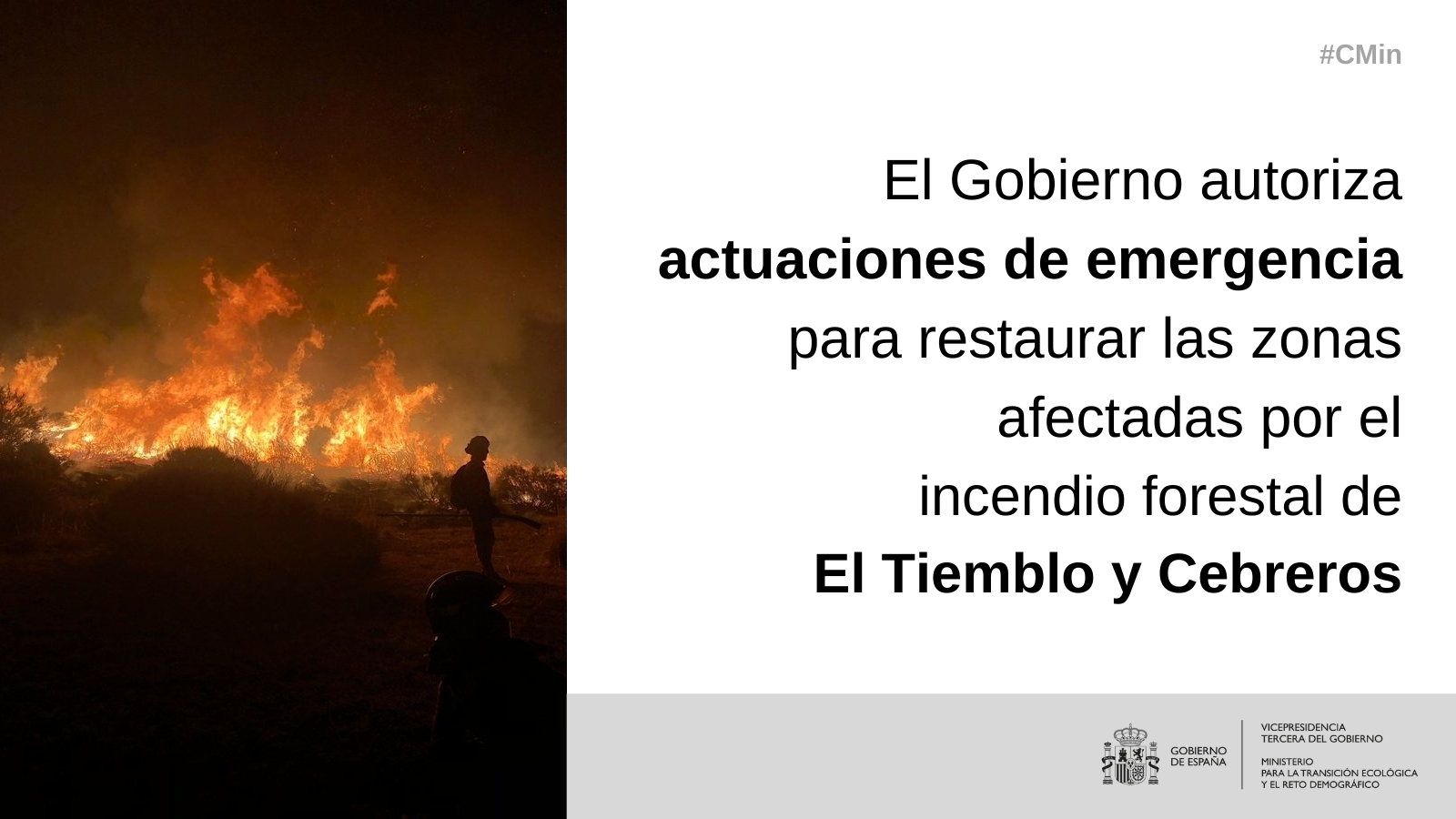 El Gobierno autoriza actuaciones de emergencia para restaurar las zonas afectadas por el incendio forestal de El Tiemblo y Cebreros (Ávila) El Gobierno autoriza actuaciones de emergencia para restaurar las zonas afectadas por el incendio forestal de El Tiemblo y Cebreros (Ávila)