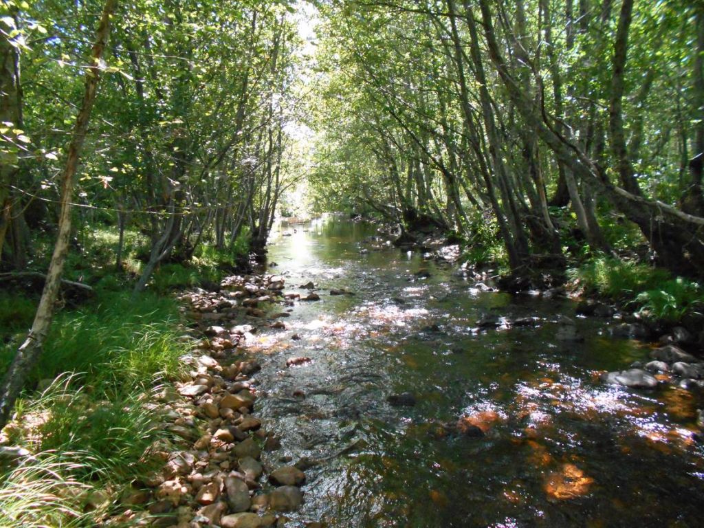 El MITECO pone en marcha los trabajos de recuperación y mejora en la reserva natural fluvial del río Negro y sus afluentes
