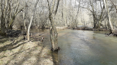 La CHD invierte cerca de 900.000 euros en lo que va de año en actuaciones de conservación y mejora de cauces en la provincia de Palencia