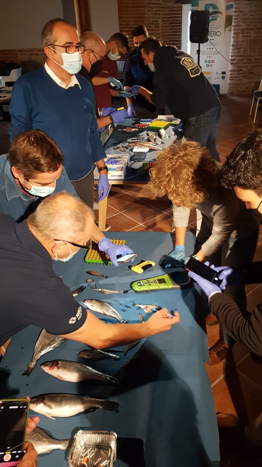 La CHD celebra en Ávila un taller sobre marcaje electrónico de peces La CHD celebra en Ávila un taller sobre marcaje electrónico de peces