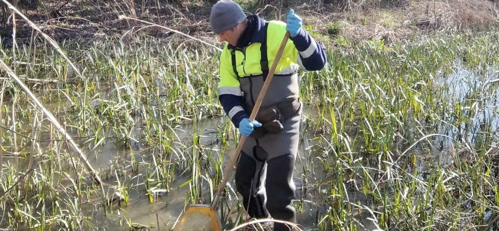 La CHD inicia los muestreos biológicos en cerca de medio millar de puntos de ríos de la cuenca