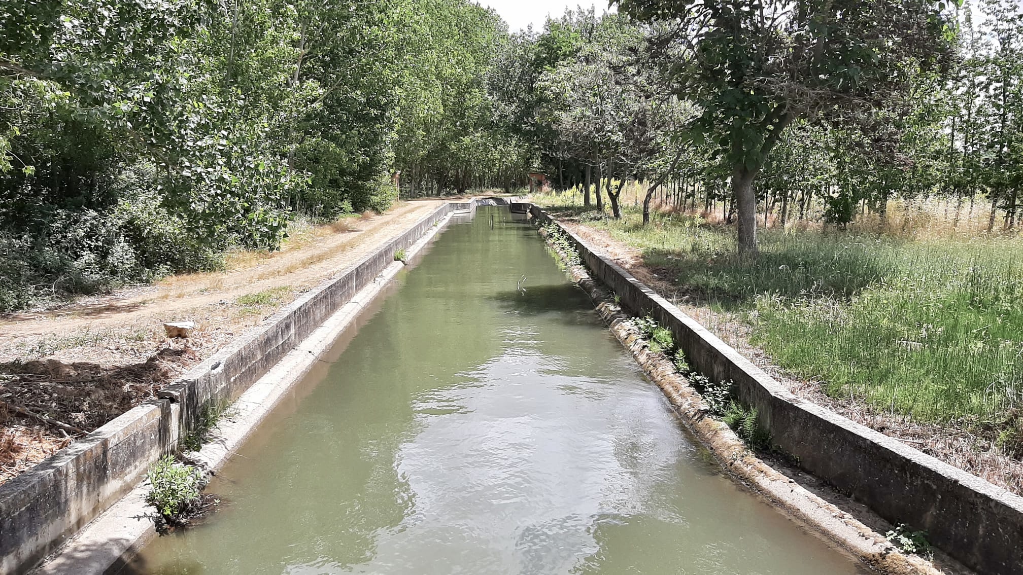 El Gobierno autoriza un contrato de servicios para el mantenimiento de los canales del Estado en la CHD por un importe de 18,1M€ El Gobierno autoriza un contrato de servicios para el mantenimiento de los canales del Estado en la CHD por un importe de 18,1M€