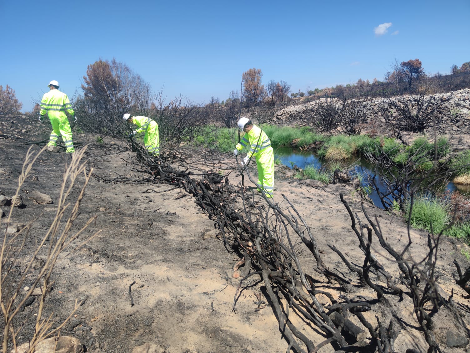 La CHD ha invertido 1,2 M€ en el último año para la conservación y mantenimiento de cauces en la provincia de Salamanca