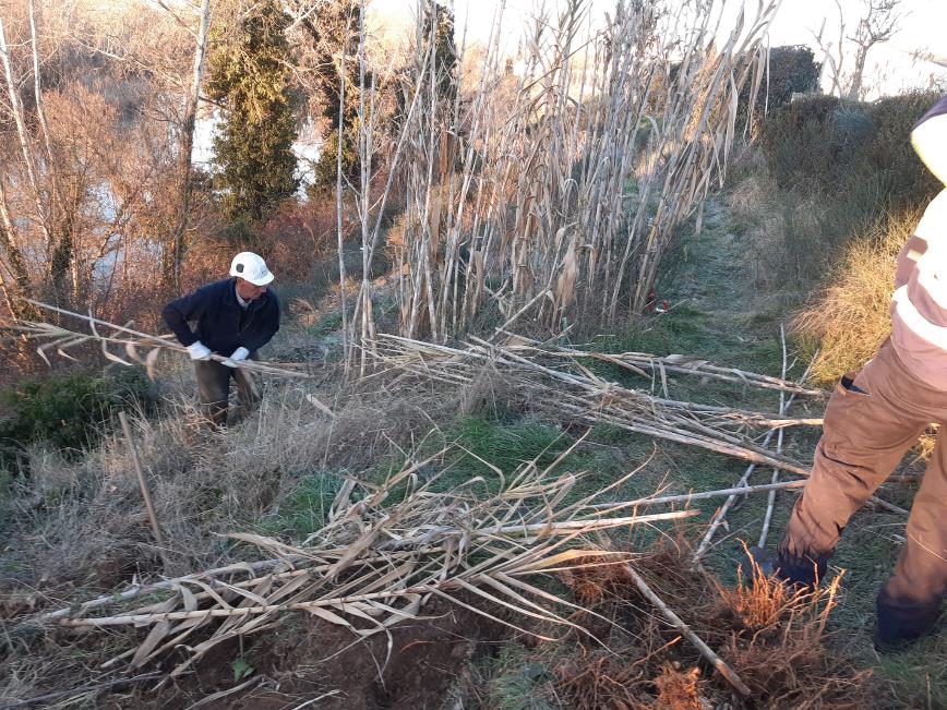 La CHD invierte 1,5M€ en actuaciones de mejora de cauces en la provincia de Valladolid en los dos últimos años