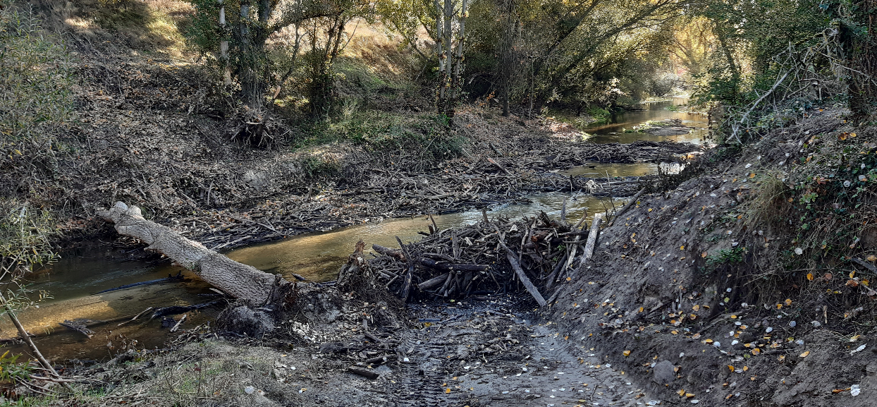 La CHD invierte 1,7M€ en actuaciones de conservación y mejora de cauces en la provincia de Segovia durante los dos últimos años