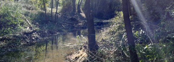 La CHD ha invertido 1,6M€ en el último año para la conservación y mantenimiento de cauces en la provincia de Salamanca