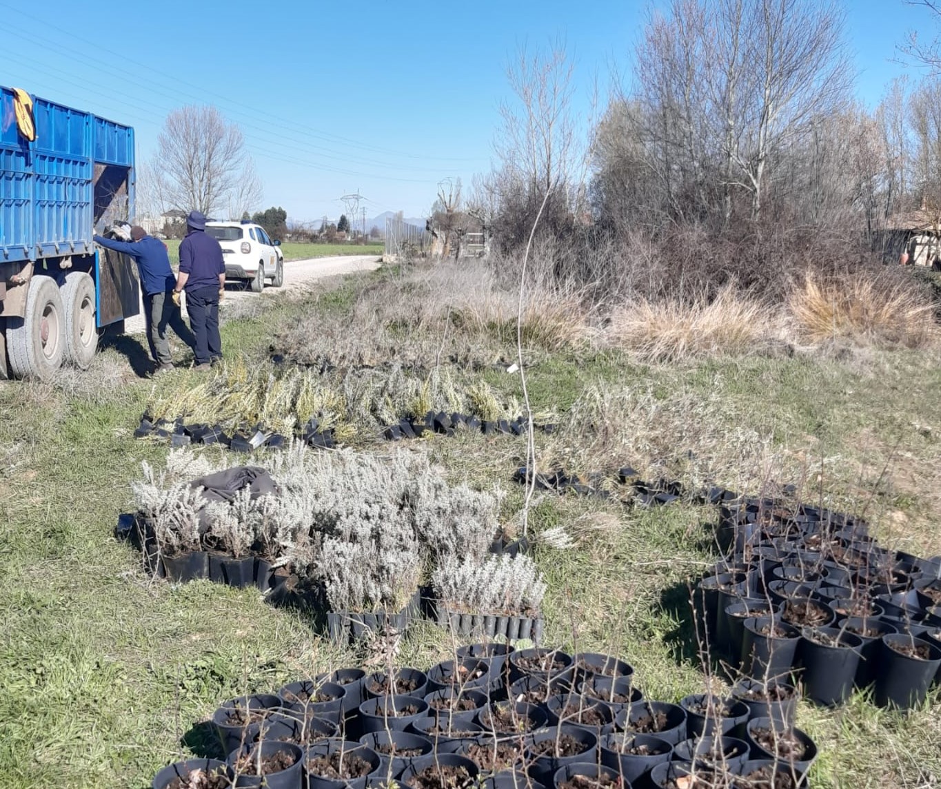 La CHD planta 50.000 árboles y arbustos producidos en sus viveros para actuaciones de restauración fluvial La CHD planta 50.000 árboles y arbustos producidos en sus viveros para actuaciones de restauración fluvial