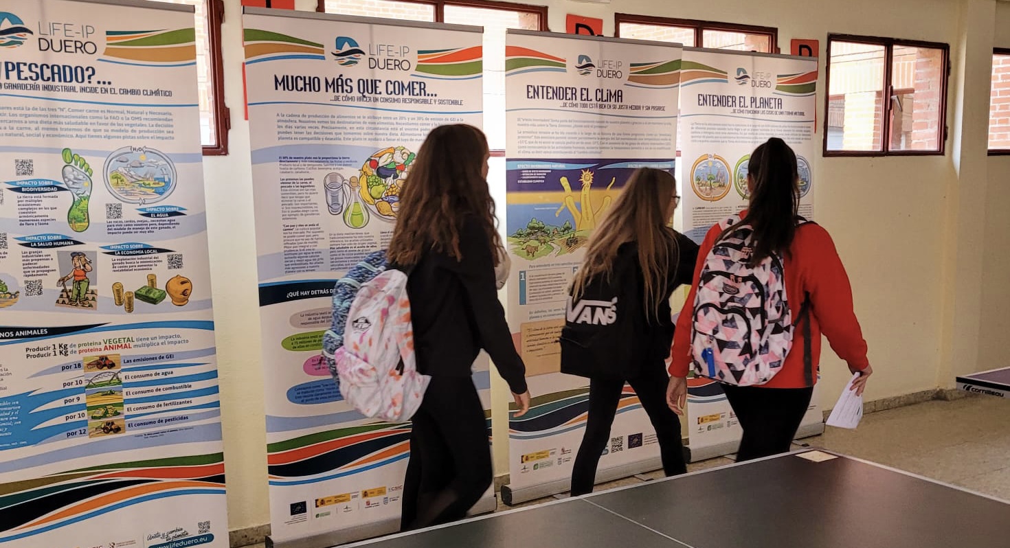 Más de 500 alumnos de nueve institutos de la ESO participarán este curso en el programa ambiental Life-IP Duero de la CHD Más de 500 alumnos de nueve institutos de la ESO participarán este curso en el programa ambiental Life-IP Duero de la CHD