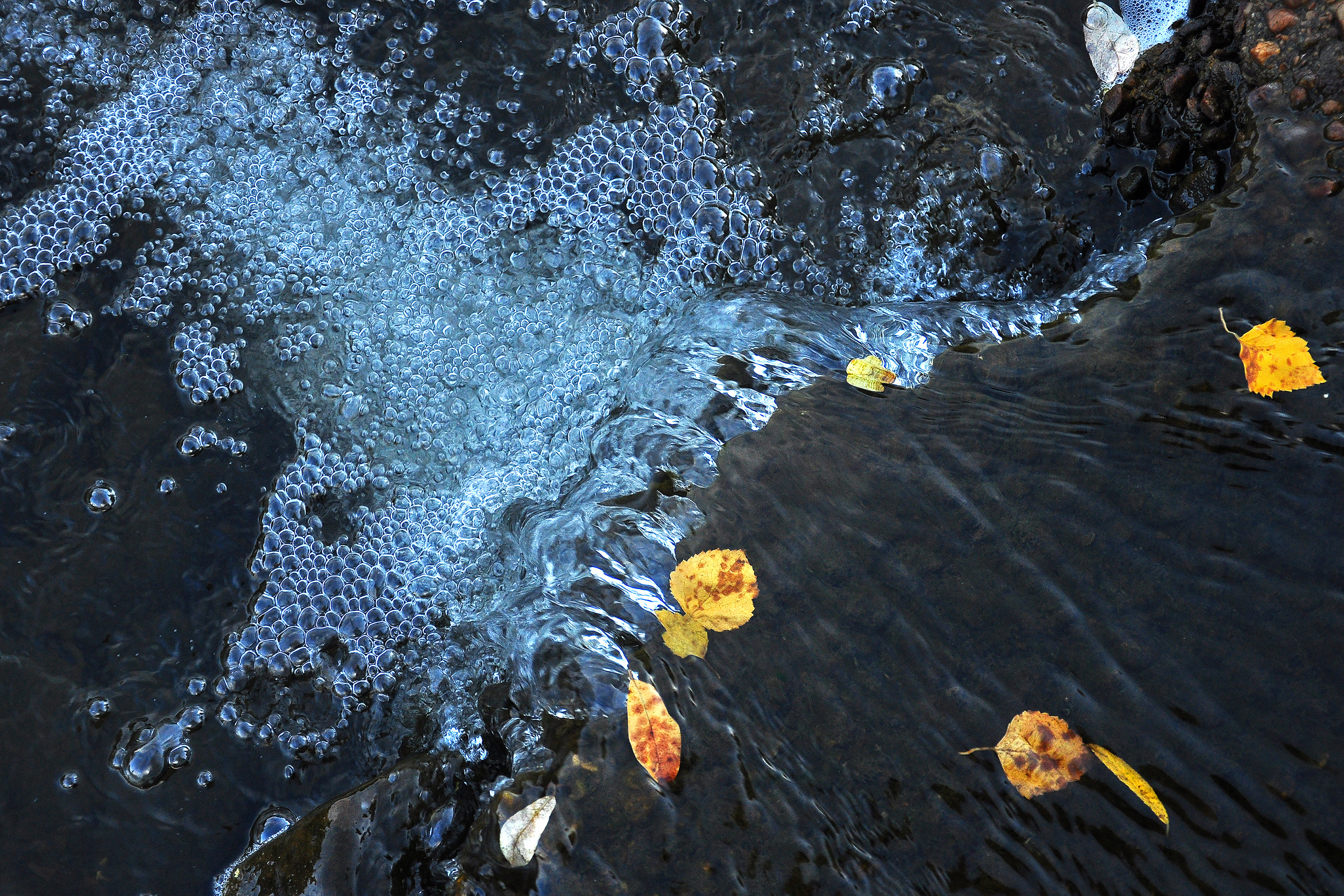 La CHD convoca el VII Concurso de Fotografía Digital con motivo del Día Mundial del Agua bajo el lema ‘Duero y biodiversidad’