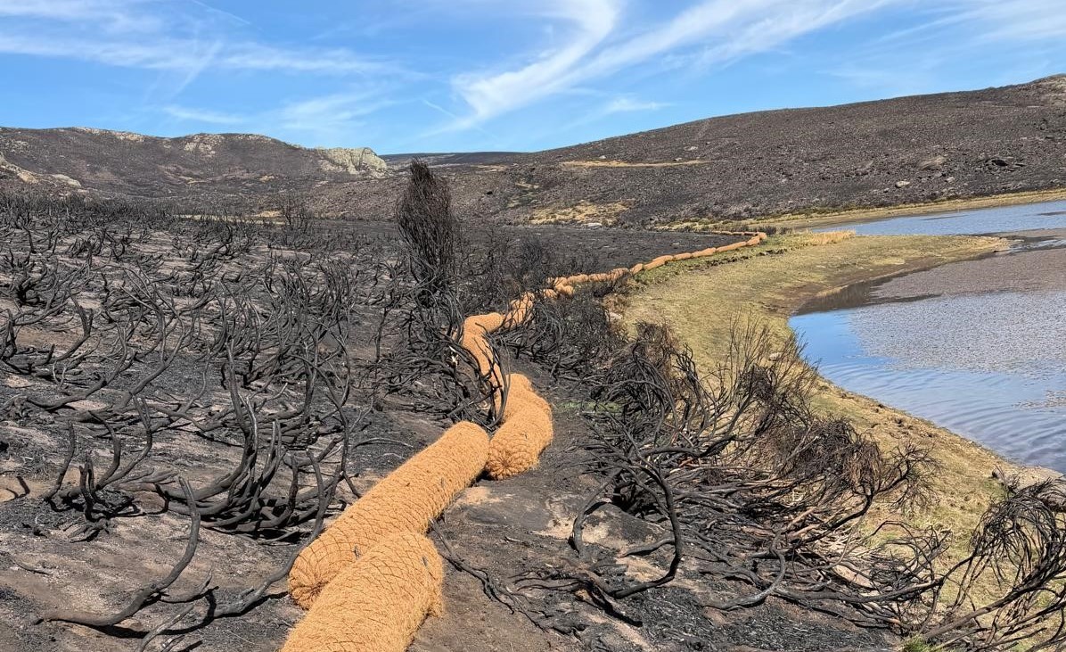 La CHD acomete trabajos de restauración hidrológico-forestal para proteger el Lago de Sanabria