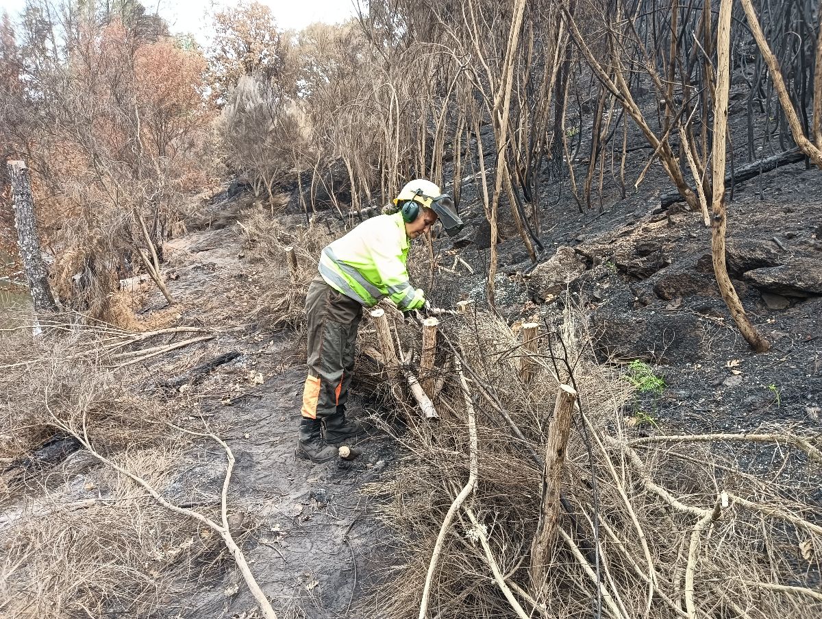 La CHD destina 1,5M€ para restaurar las zonas afectadas por los incendios en la provincia de Ourense La CHD destina 1,5M€ para restaurar las zonas afectadas por los incendios en la provincia de Ourense