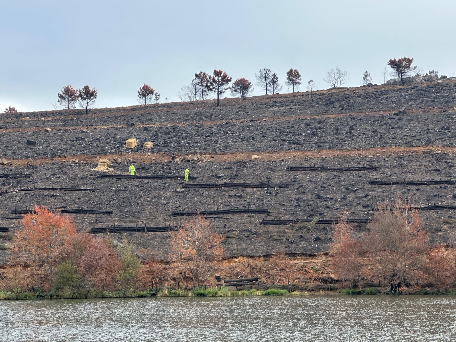 La CHD avanza en los trabajos de restauración hidrológico-forestal en la provincia de Zamora