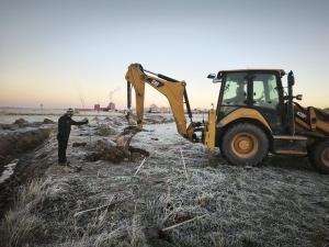 La CHD planta 200 árboles autóctonos para la recuperación y mejora de la vegetación de ribera en Sanchidrián (Ávila)