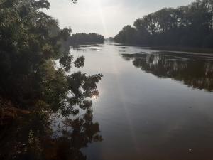 La CHD ha invertido cerca de 2,5M€ para la conservación y mantenimiento de cauces en la provincia de Salamanca en los últimos tres años