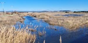 La CHD atribuye a factores intrínsecos vinculados a la naturaleza del suelo y el deficiente drenaje los efectos de las borrascas en Aldeamayor Golf