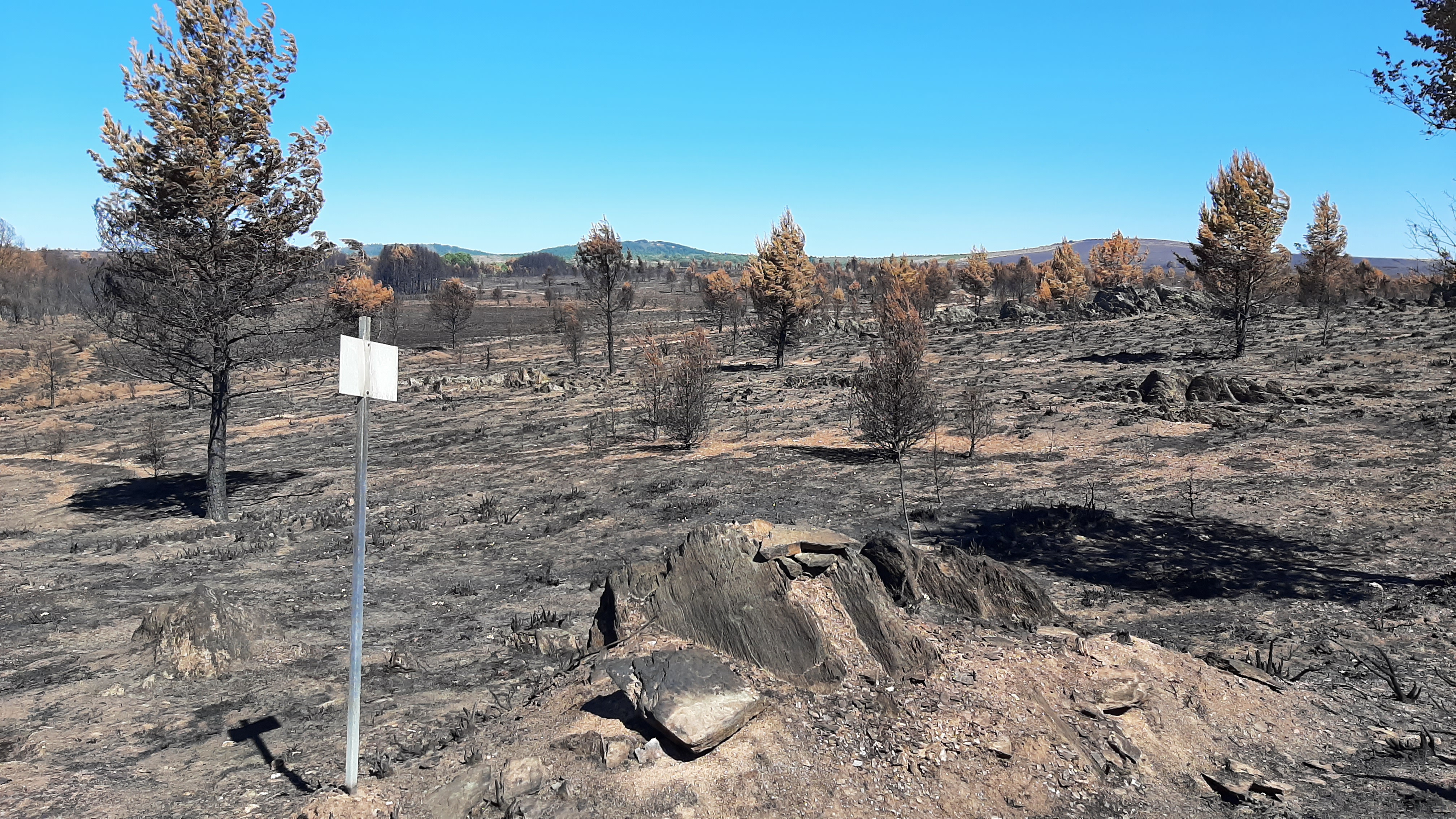 La CHD mantiene el seguimiento de las aguas subterráneas de León tras los incendios de 2025