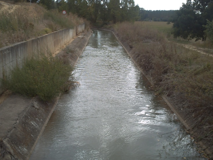 Canal de Palencia