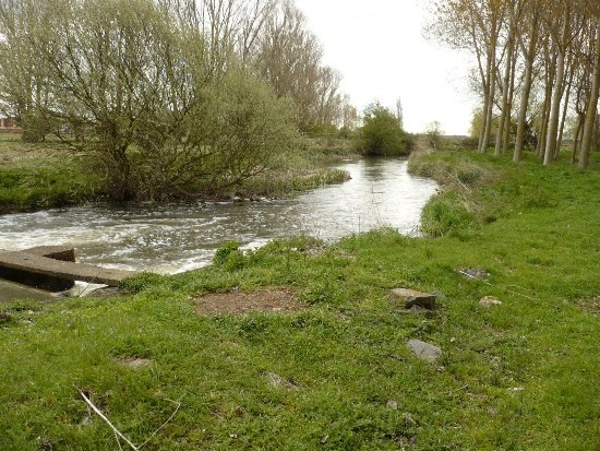 Canal de Carrión-Saldaña