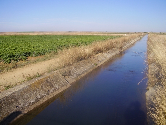 Canal de la Nava Norte