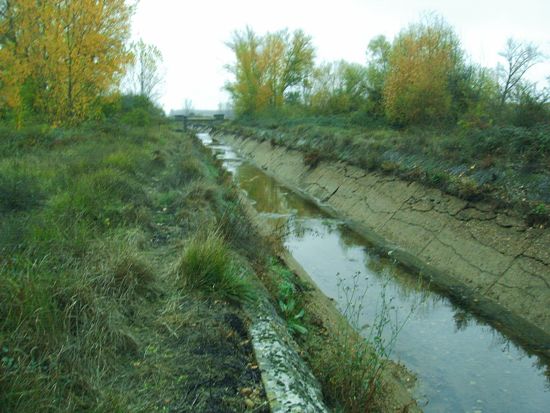 Canal del Pisuerga