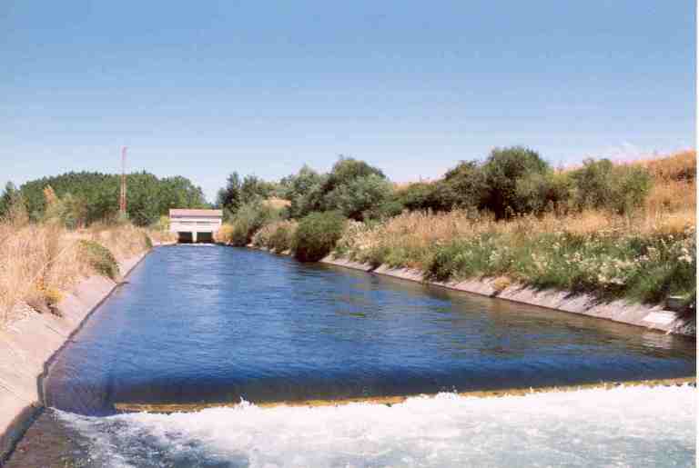 Canal del Porma (margen izquierda)