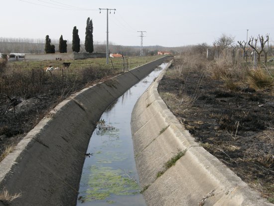 Canal de Zorita