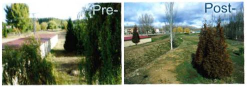 Proyecto de mejora del estado ecológico del río Órbigo (León) - Imagen 2