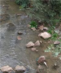 La CHD investiga una mortandad de peces en el río Esgueva a su paso por Valladolid La CHD investiga una mortandad de peces en el río Esgueva a su paso por Valladolid