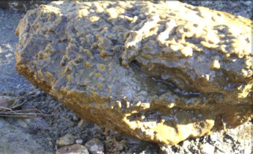 DETALLE DE DIDYMO. ROCA EXTRAÍDA DEL ARROYO ARAUZ