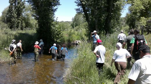 Una instantánea de la pesca fluvial