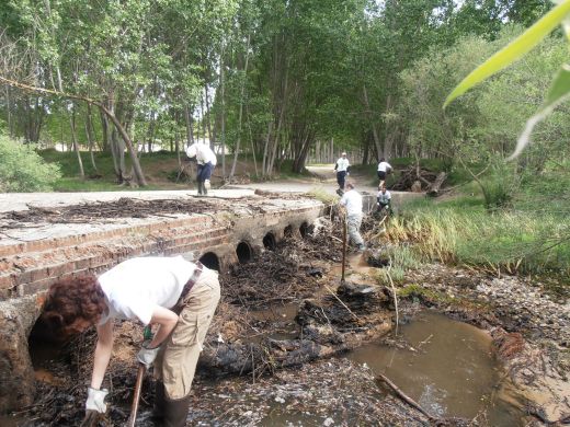 Limpieza del Puente de Escarpías en Navas de Oro, por voluntarios, todos foráneos de esta localidad segoviana