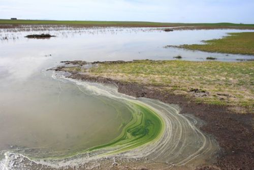 Laguna de los Lavajares (Ávila)